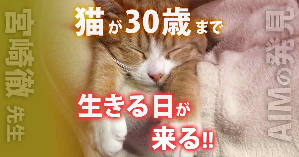 であいねこ「猫ちゃんの腎臓病はAIM製剤で治る!第1弾」のアイキャッチ画像