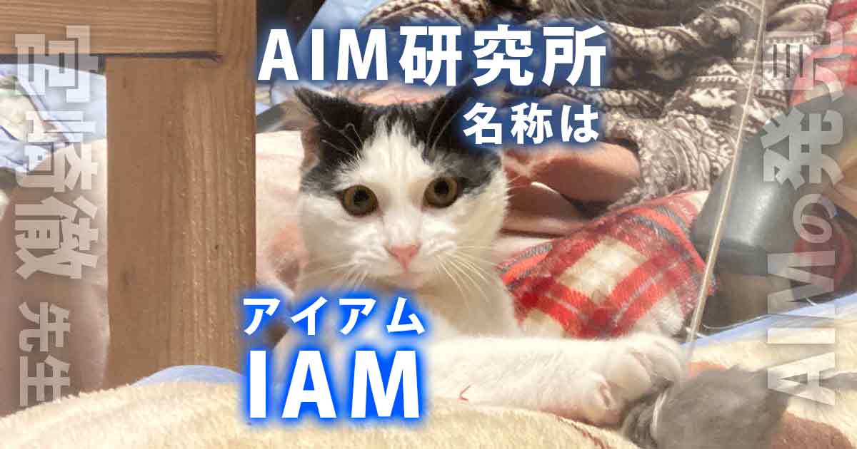 であいねこ「猫ちゃんの腎臓病はAIM製剤で治る!第2弾」のアイキャッチ画像