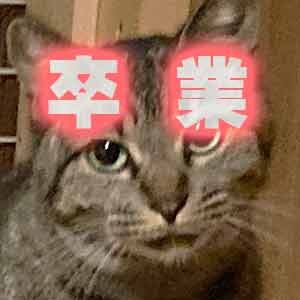 であいねこ保護ねこジュリちゃん卒業